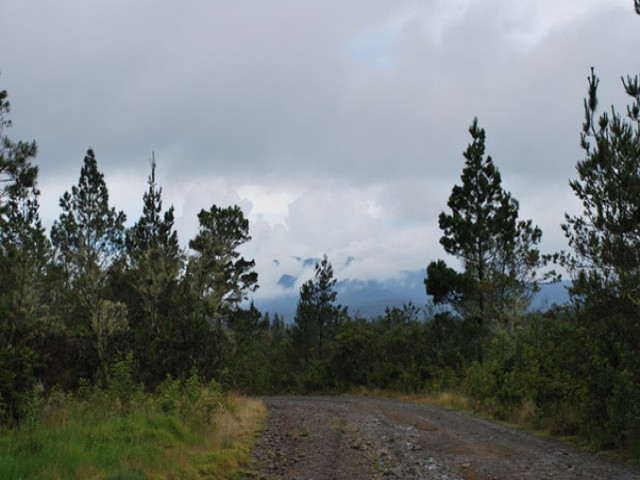 Национальный парк Вале Нуэво