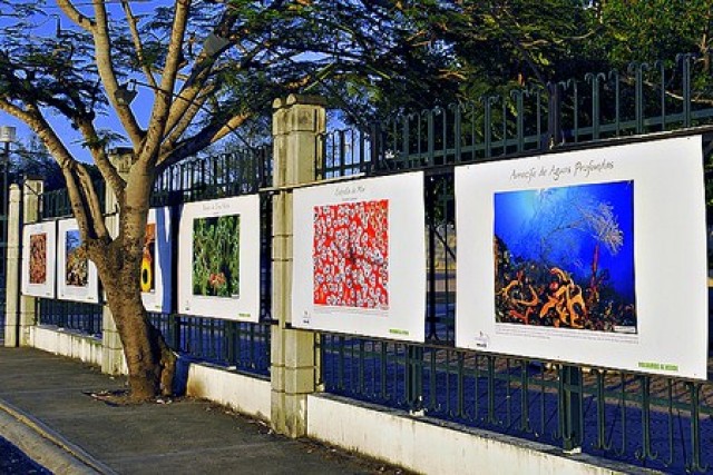 Выставки и музеи Санто Доминго