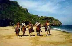 Экскурсия на лошадях к пляжу Ринкон 