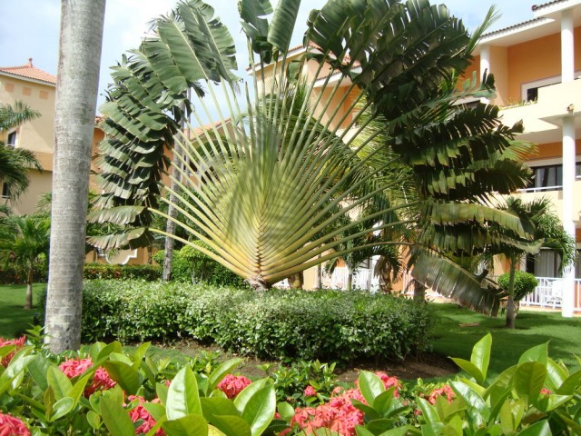 Отель "Gran Bahia Príncipe Punta Cana" 4* 