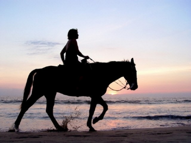 Прогулка на лошадях (Horseback Riding). 