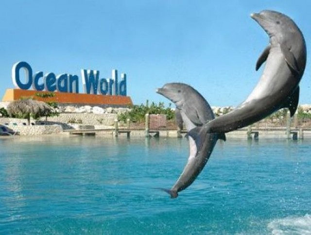 Экскурсия Ocean World