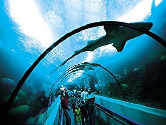 морской аквариум в Санто Доминго 