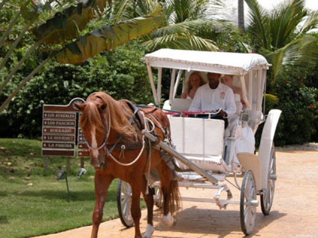 Свадебное торжество в Доминикане