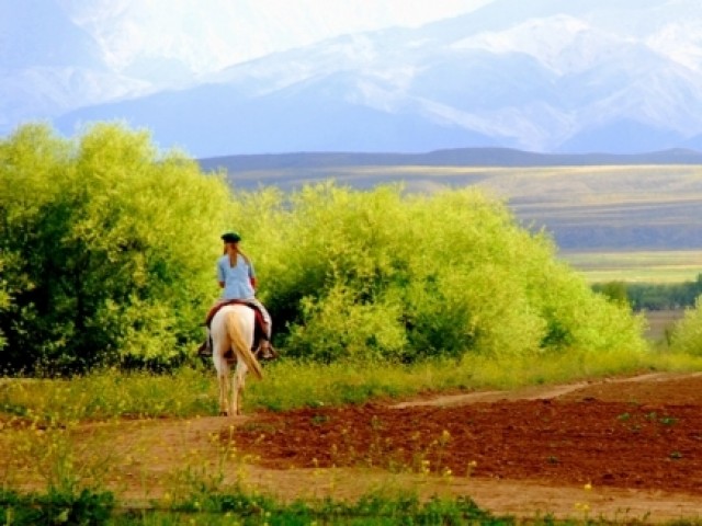 Прогулка на лошадях (Horseback Riding). 