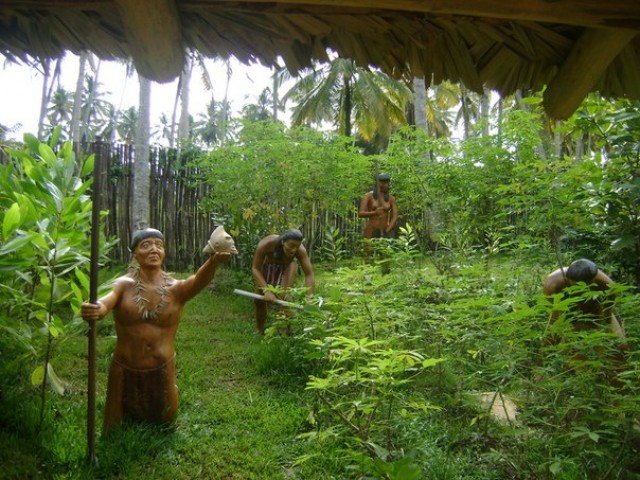 Музей индейцев Тайно на острове Самана