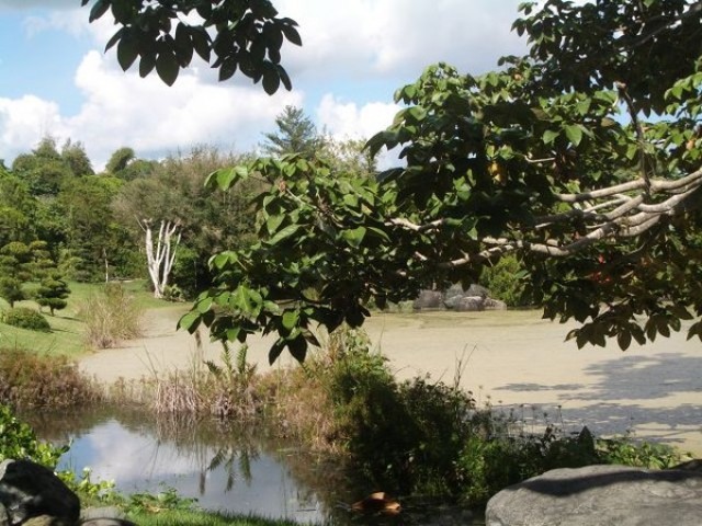 Национальный Ботанический сад в Санто Доминго
