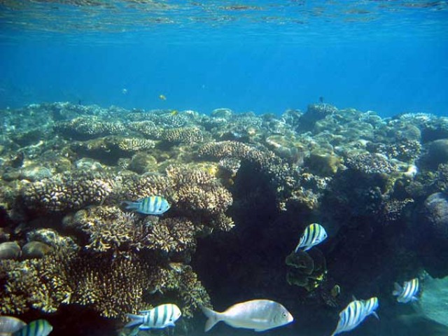 Национальный подводный парк Ла-Калета