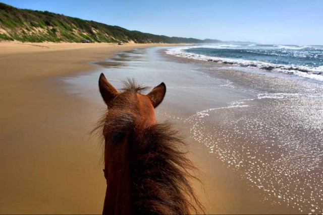 Экскурсия на лошадях к пляжу Ринкон 