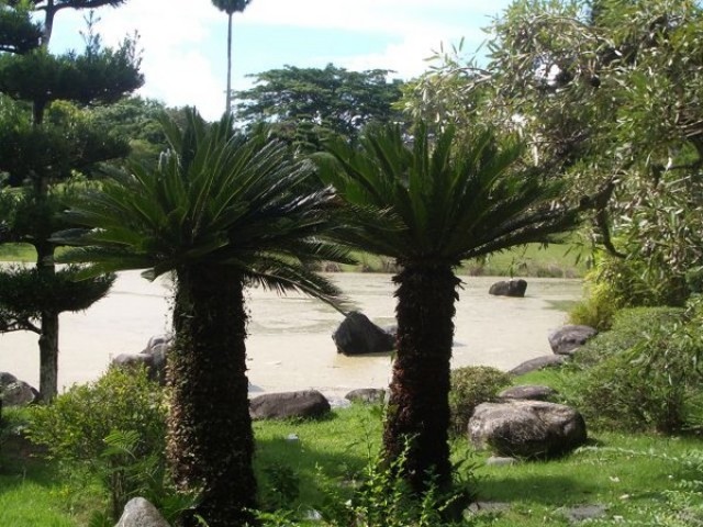 Ботанический сад Санто-Доминго