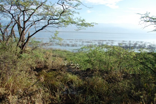 Соленое озеро Энрикильо и остров Кабритос